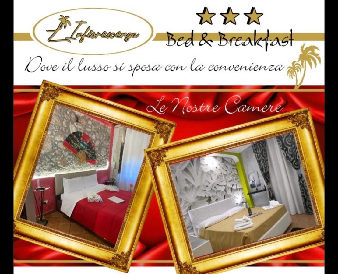 L'infiorescenza New Couette-café